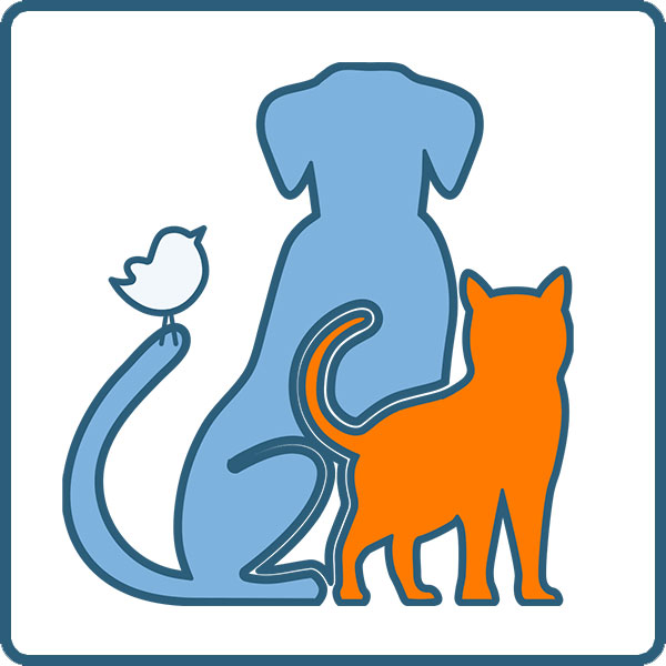 Pets & Animal Care